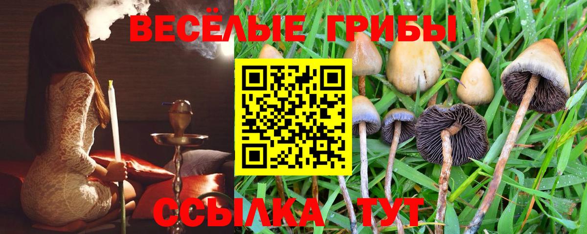 закладки  Галлюциногенные грибы Magic Shrooms  Вход с VPN  Губкин 