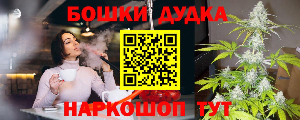 Конопля гибрид Губкин
